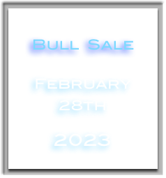 
Bull  Sale


February 28th

2023